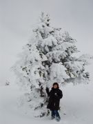  Sierra Nevada